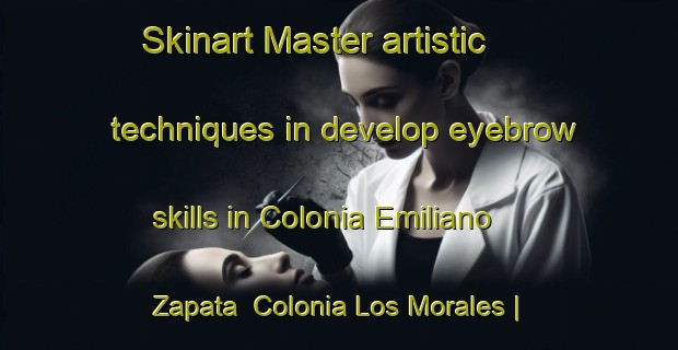 Skinart Master artistic techniques in develop eyebrow skills in Colonia Emiliano Zapata  Colonia Los Morales | EyebrowTraining | EyebrowClasses | SkinartTraining-Mexico